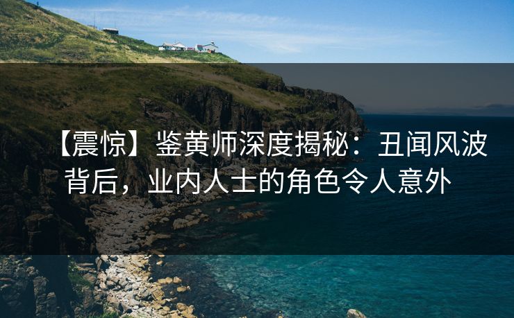 【震惊】鉴黄师深度揭秘：丑闻风波背后，业内人士的角色令人意外