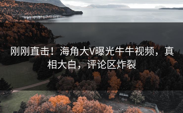 刚刚直击！海角大V曝光牛牛视频，真相大白，评论区炸裂