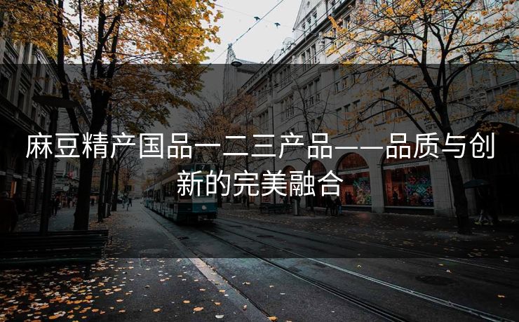 麻豆精产国品一二三产品——品质与创新的完美融合