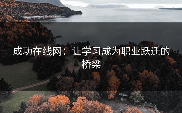 成功在线网：让学习成为职业跃迁的桥梁
