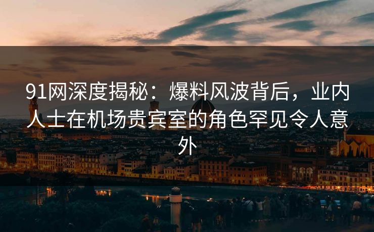 91网深度揭秘：爆料风波背后，业内人士在机场贵宾室的角色罕见令人意外